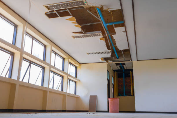 Best Fire Damage Restoration  in Lden, MA