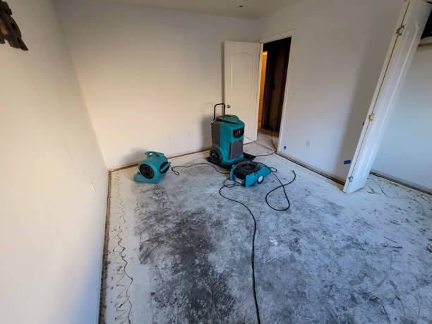 Best Water damage mitigation services  in Lden, MA