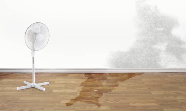 Professional Water damage restoration in Malden, MA