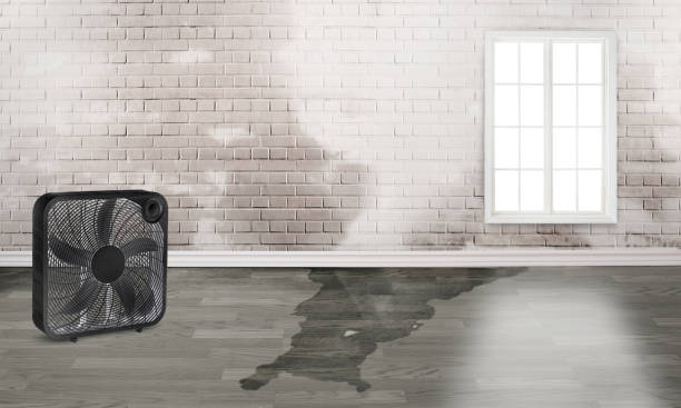 Best 24/7 water damage repair  in Lden, MA