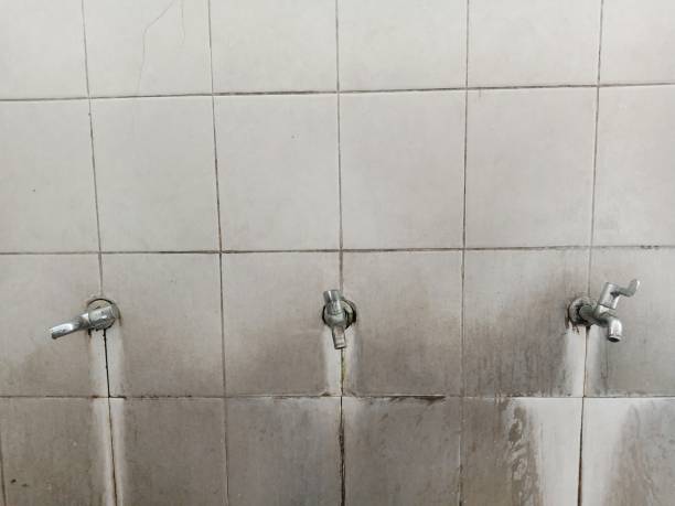 Best Basement water damage restoration  in Lden, MA