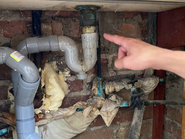 Best Flood damage cleanup  in Lden, MA